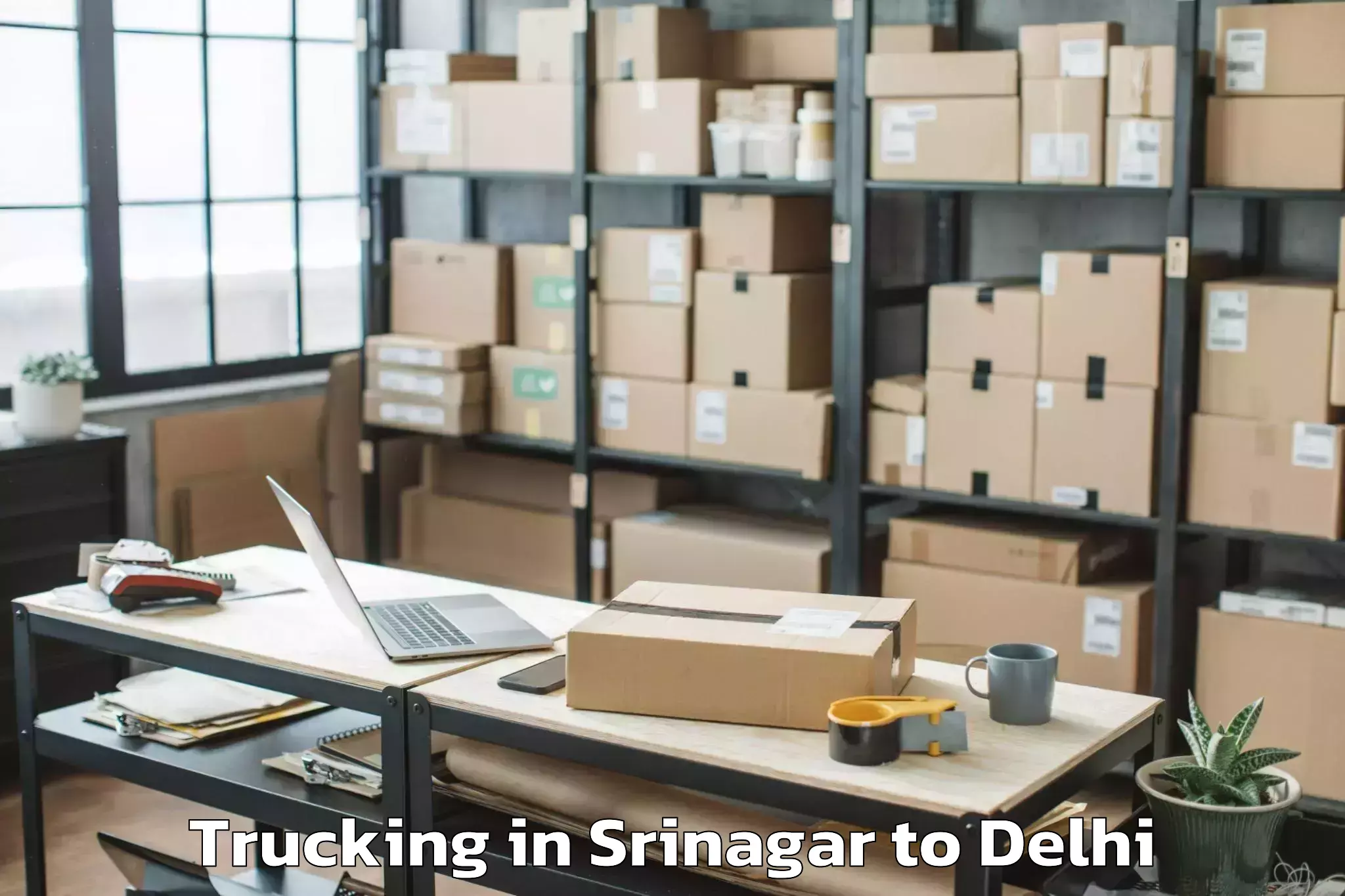 Easy Srinagar to Hauz Khas Trucking Booking